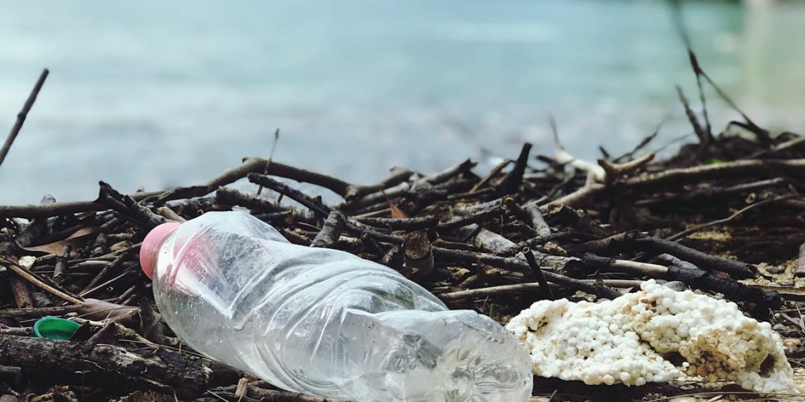 Plastic Pollution: Solutions for a Global Crisis