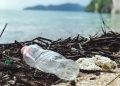 Plastic Pollution: Solutions for a Global Crisis