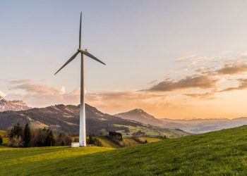 The Future of Renewable Energy: Trends and Innovations