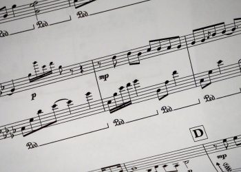 The Role of Social Media in Shaping Music Careers